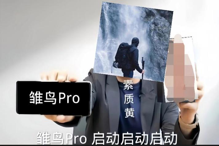 雏鸟pro是什么截图