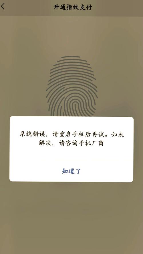 支付宝指纹暂时不可用是怎么回事缩略图