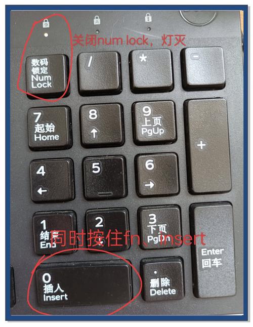 粘滞键导致打不出字截图