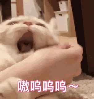 猫为什么喜欢用牙轻咬图标