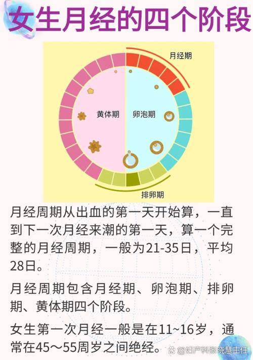 月经怎么算周期截图
