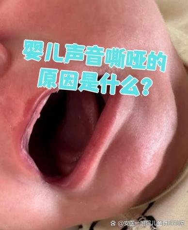 广东人叫宝宝的意思是什么