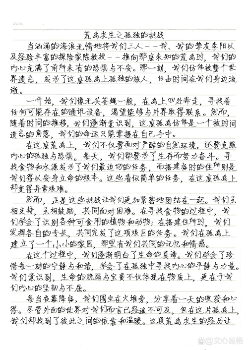 荒岛求生的日记