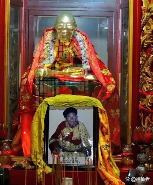 长生从照顾妻母开始截图