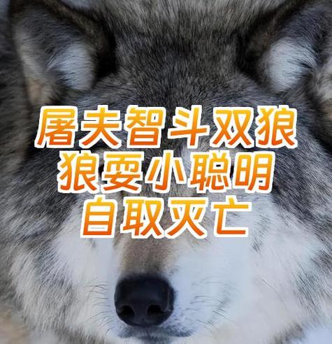 魔兽世界80级狼位置截图