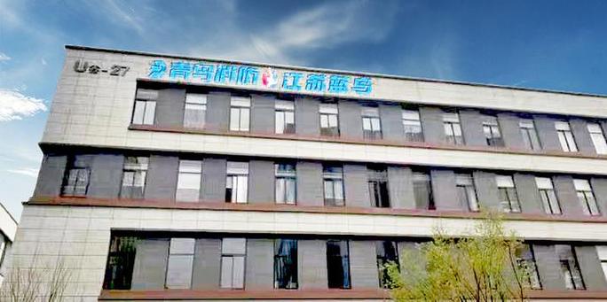 上海蓝鸟科技股份有限公司