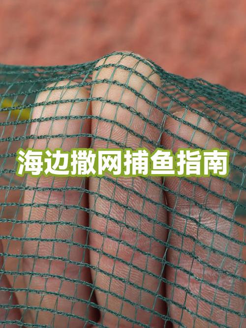 撒网价格表一览表截图