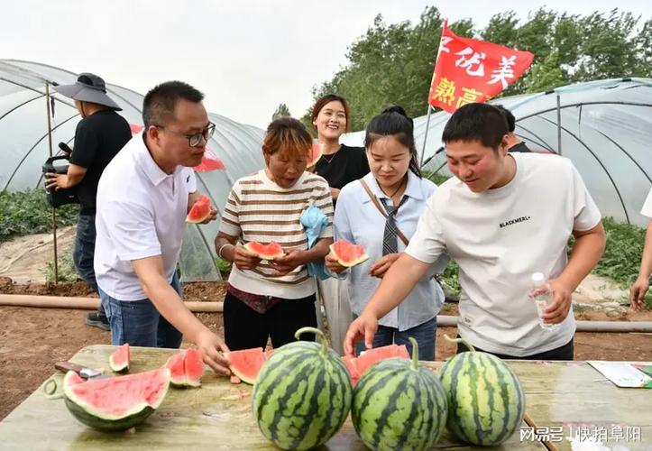西瓜怎么发小视频截图