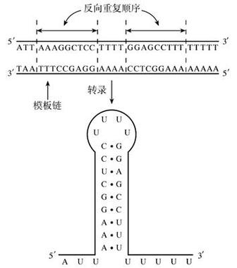 抖音刷重复内容原因图标