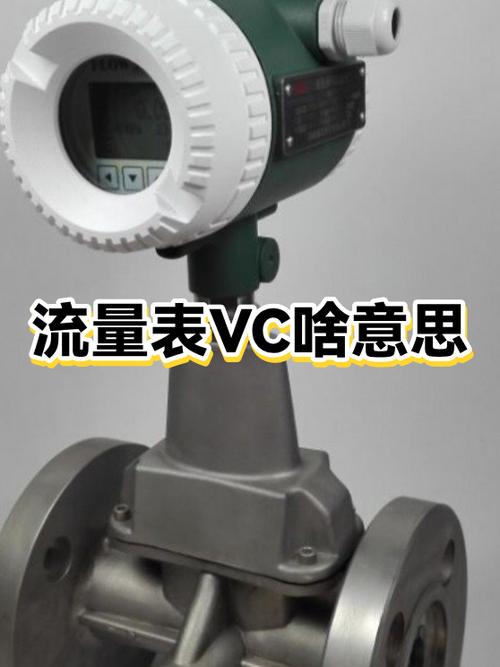 vc版是什么意思截图