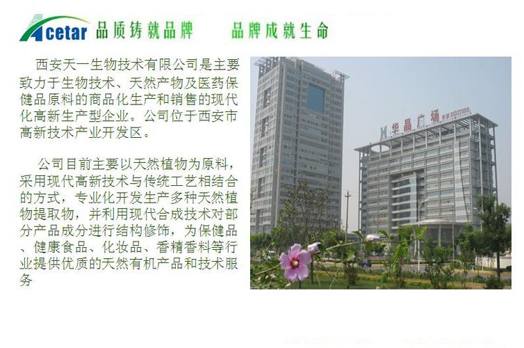 天一集团的公司介绍
