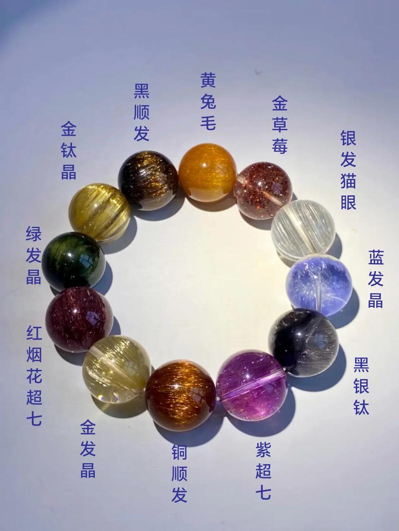 赏多宝app官网图标