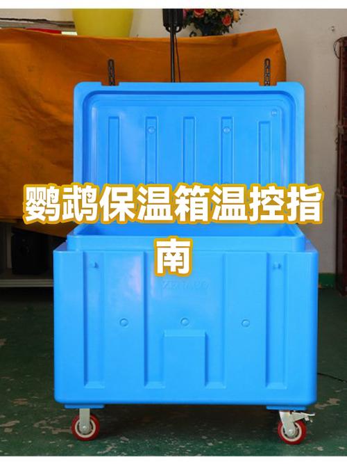 25天的鹦鹉还要保温吗截图