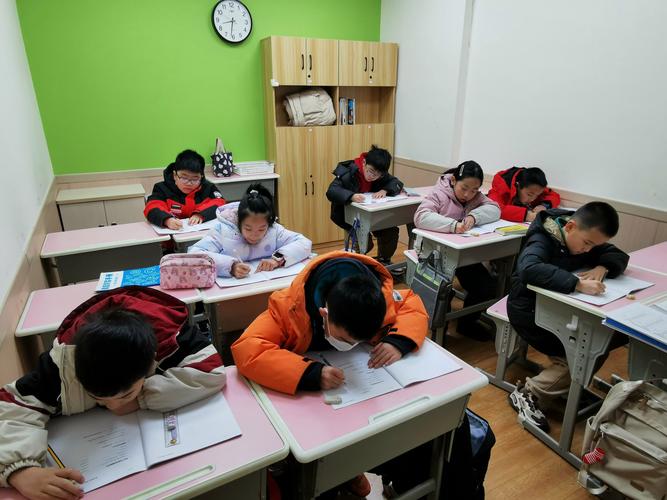 课后辅导安卓版下载图标