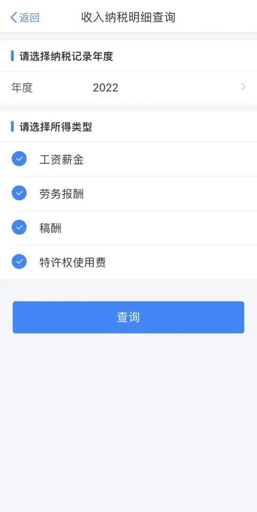 个人所得税查询免费网上查询游戏截图