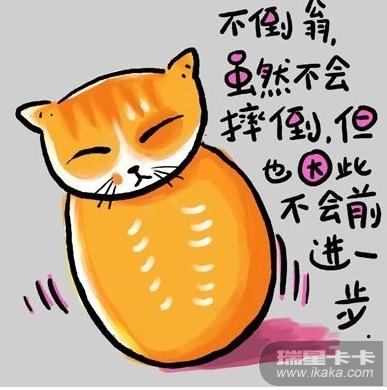 猫语翻译器软件下载图标