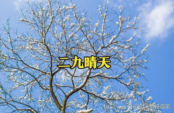 vivo桌面日期显示农历缩略图