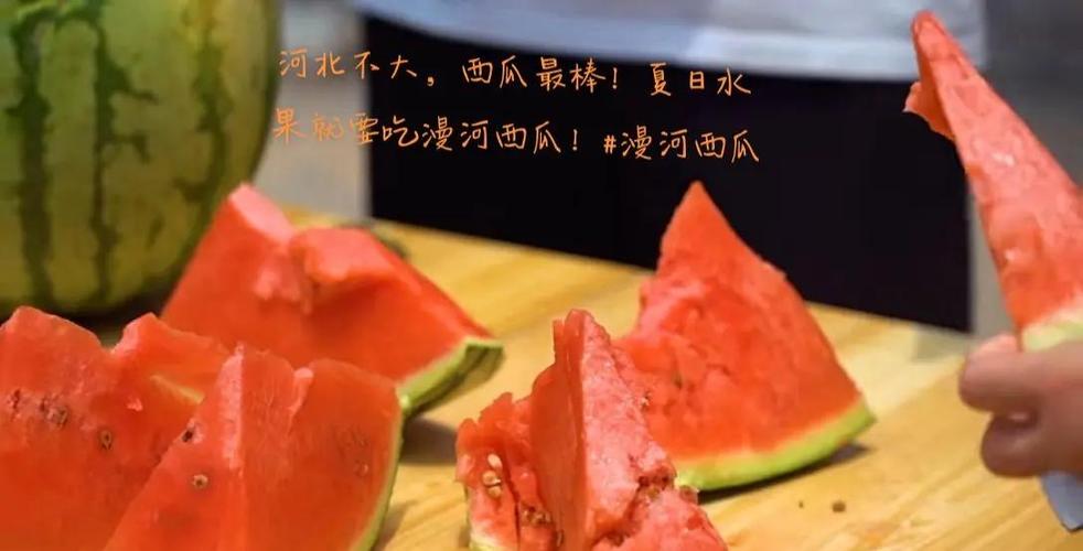 西瓜视历史版本