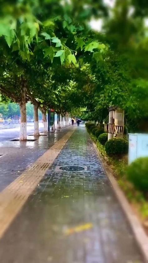 元曲《梧桐雨》原文