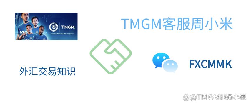 tmgm官网客户端app图标