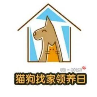 疯狂领养平台赚钱缩略图