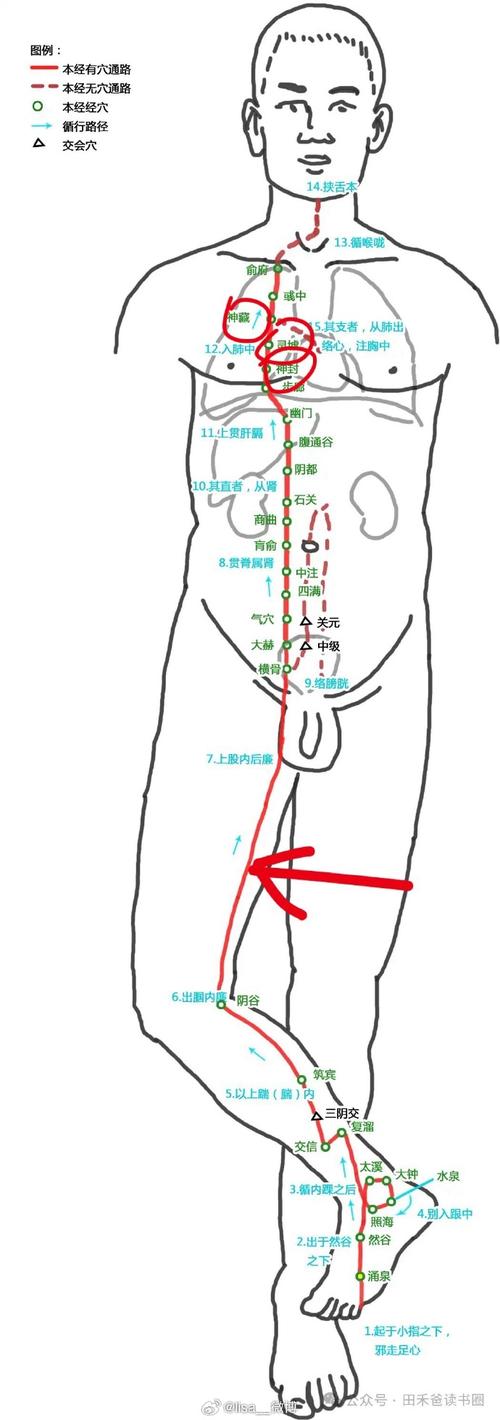 阴阳合欢宗在哪缩略图