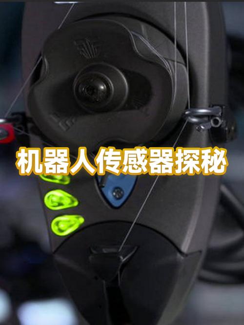 王者荣耀如何查摄像头图标