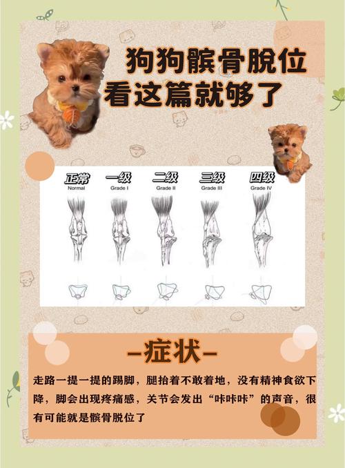 幼鸽瘦得皮包骨的解决方法图标