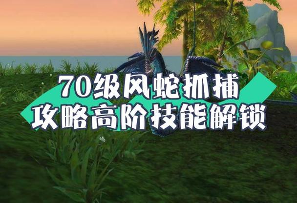 菲拉斯风蛇好还是神庙风蛇好
