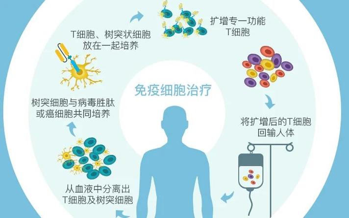 编辑细胞与超级伤害功能介绍截图