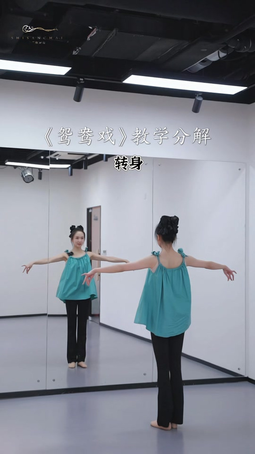 《鸳鸯摇》手势舞教程游戏截图
