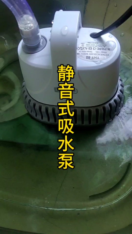 鱼缸过滤泵嗡嗡噪音大截图