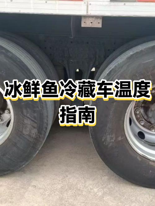 冰鲜鱼冷藏可以放几天截图