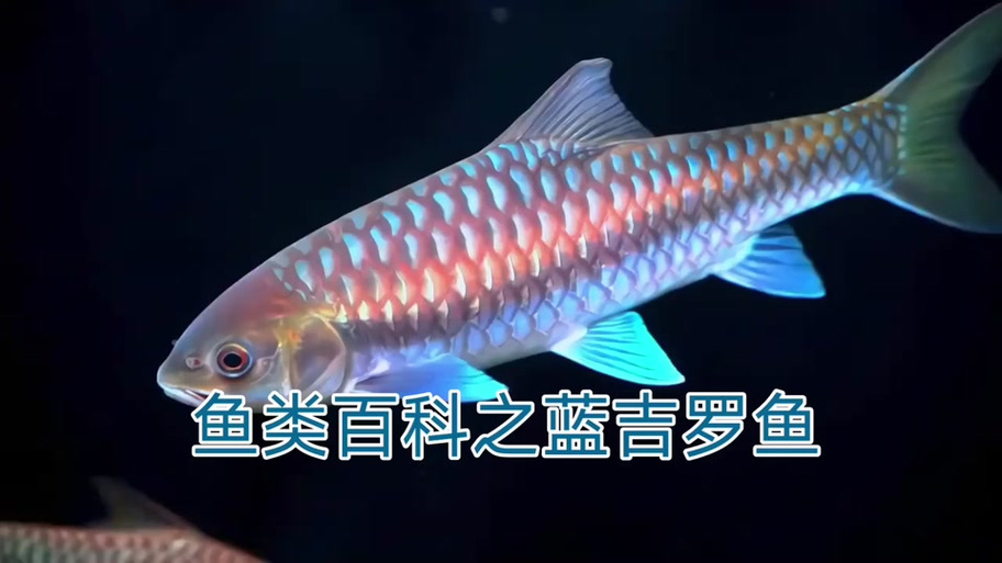 海信电视打开是蓝色的界面