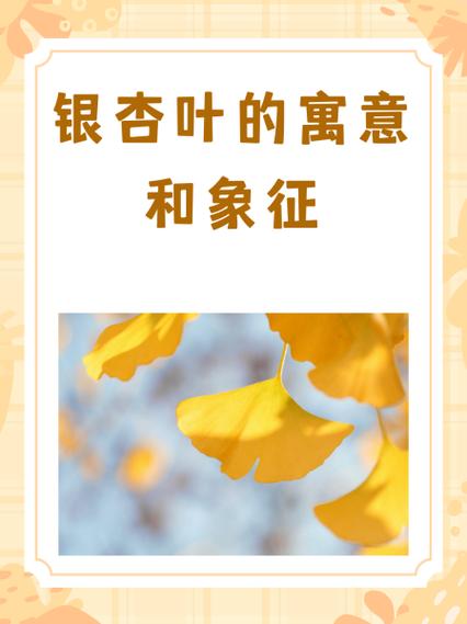 银杏的寓意和象征缩略图