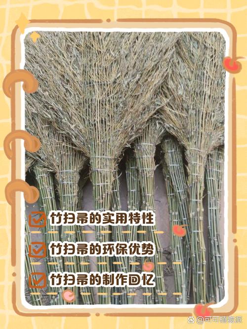 竹帮帮是干嘛的游戏截图
