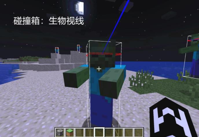 我的世界开启碰撞箱截图