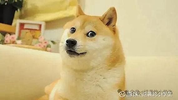 狗狗币是比特币Meme