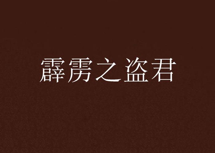 霹雳之盗君图标