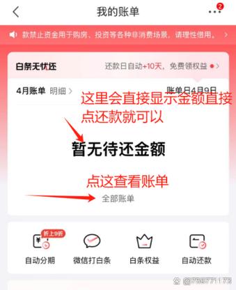 京东白条是什么时候还截图
