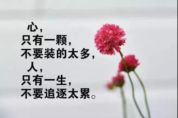 句句深入人心经典句子游戏截图
