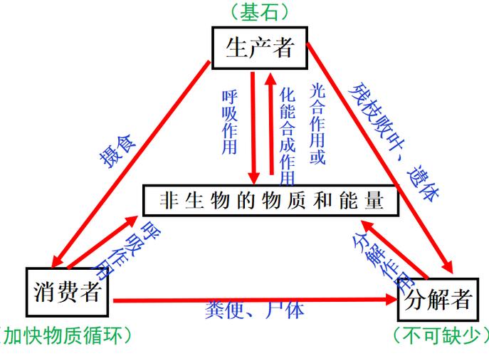 生态系统的含义