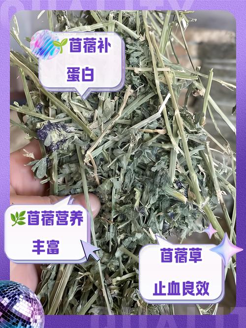 苜蓿草蛋白含量图标