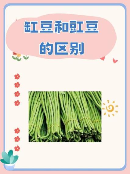 短缸豆截图