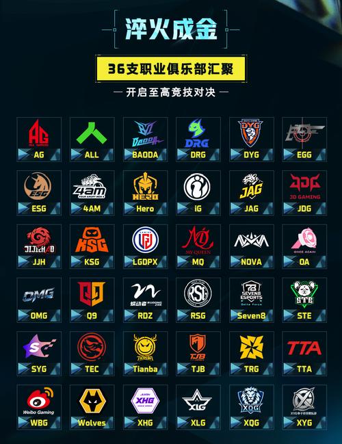 cs职业战队排名图标