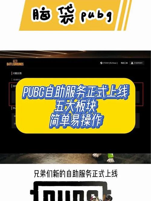 pubg自助服务网站截图