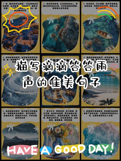 雨见浏览器和夸克浏览器