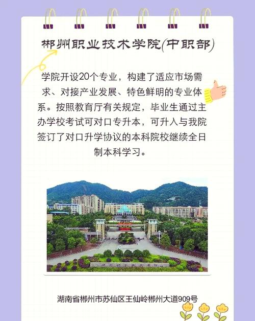 智慧郴职官网