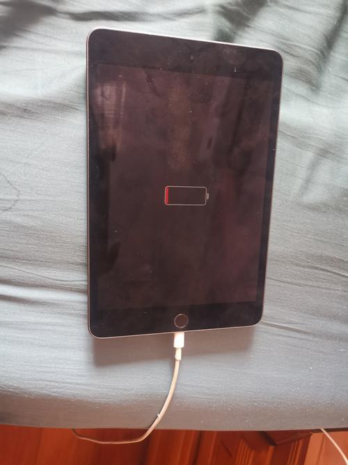 ipad一边充电一边用图标