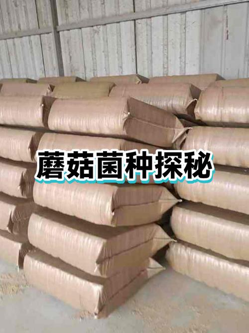泰拉瑞亚蘑菇种子怎么弄缩略图